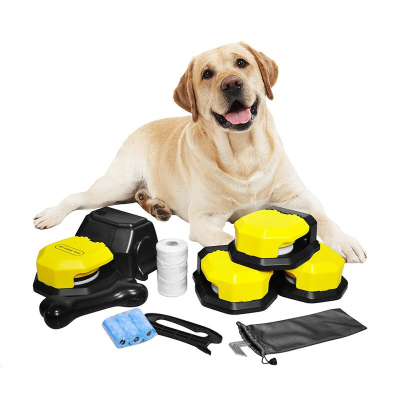 Pet Chase Toys Home Training Supplies